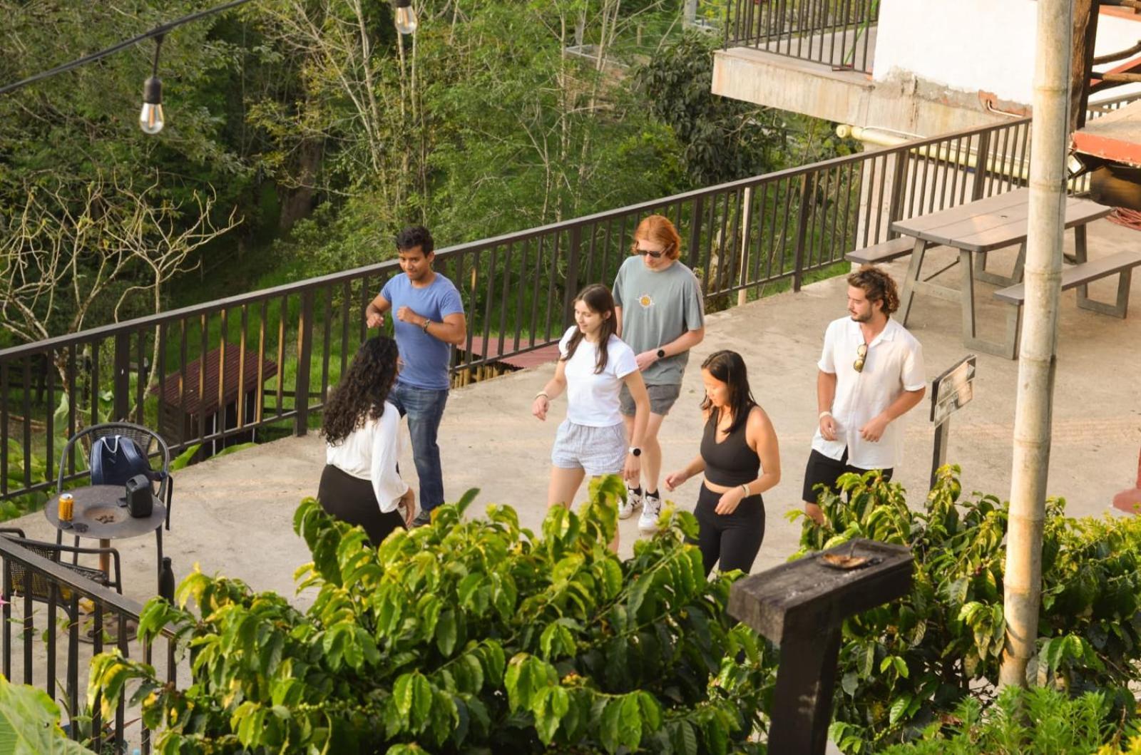 Coffee Tree Boutique Hostel Salento Exterior photo