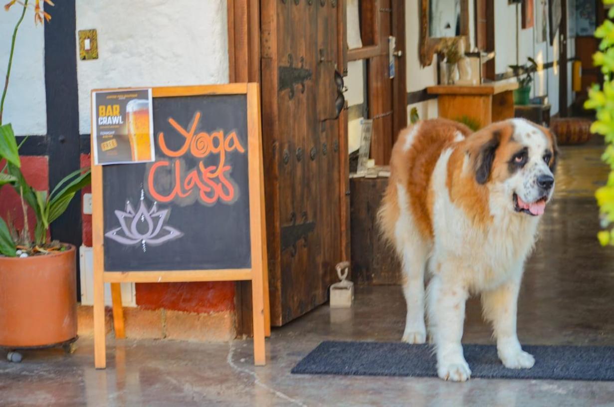 Coffee Tree Boutique Hostel Salento Exterior photo