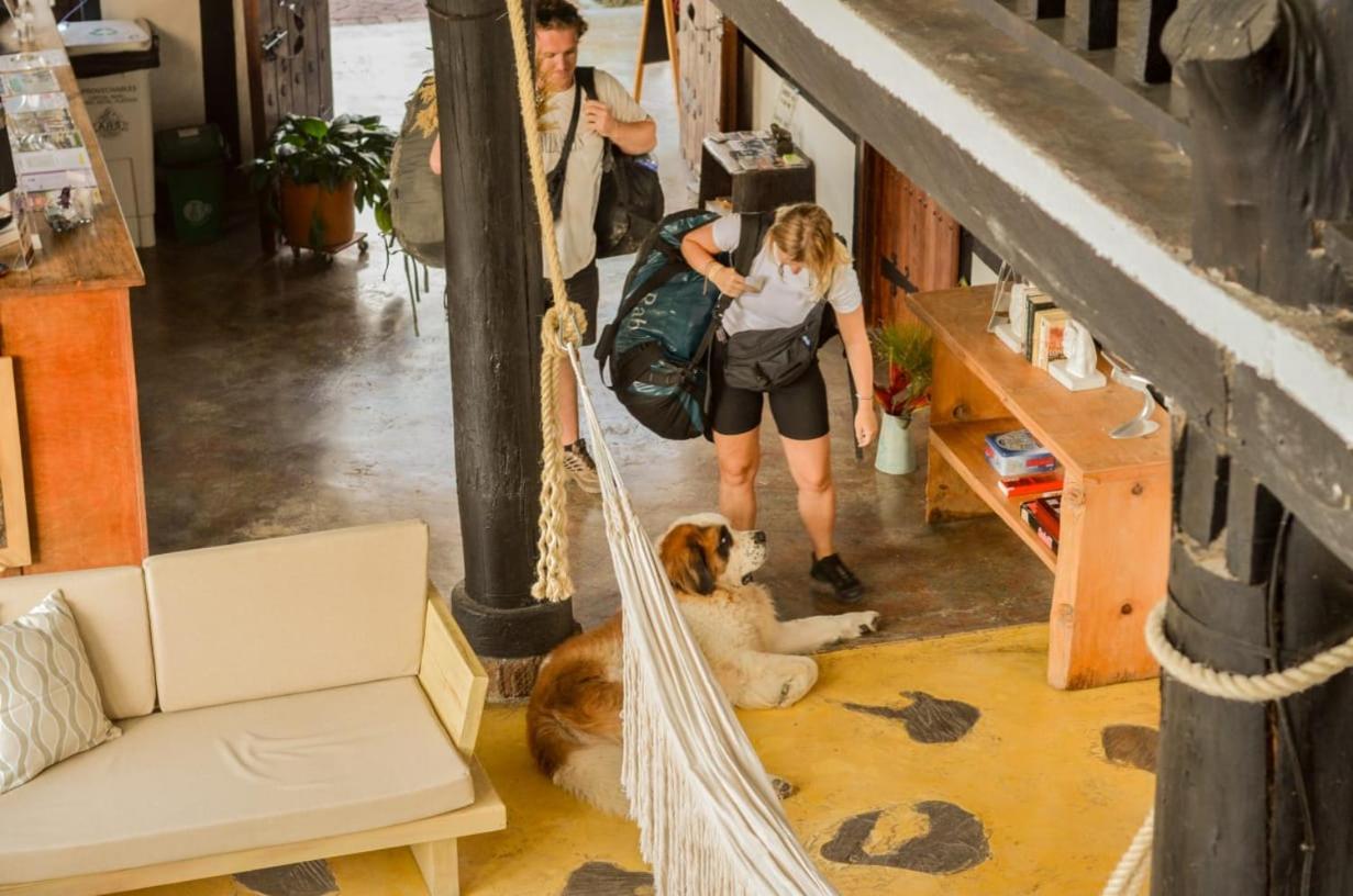 Coffee Tree Boutique Hostel Salento Exterior photo