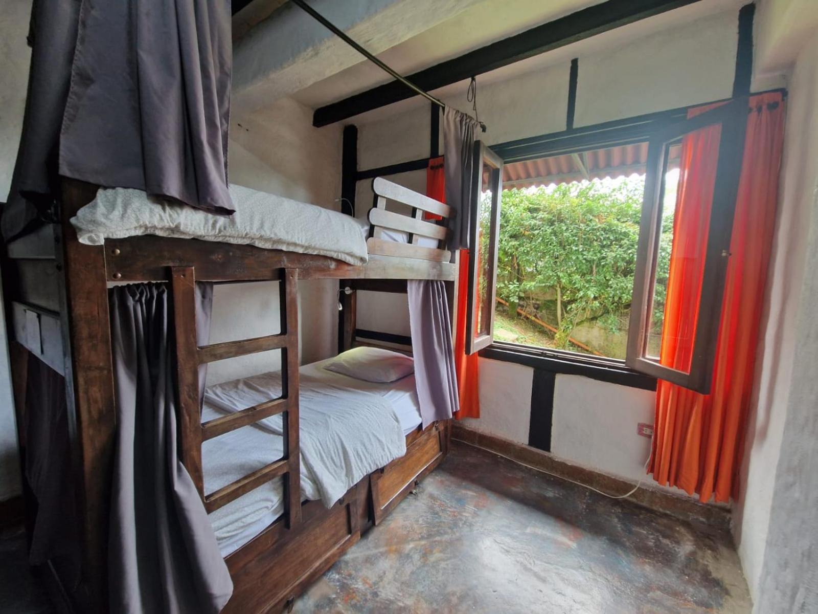 Coffee Tree Boutique Hostel Salento Exterior photo