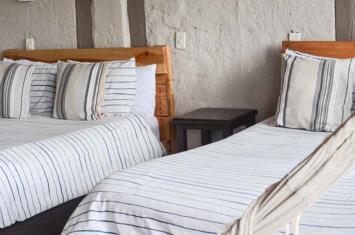 Coffee Tree Boutique Hostel Salento Exterior photo